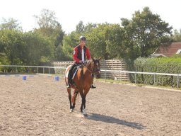 img_7271_web